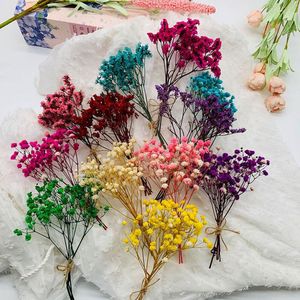 Wholesale real fresh for sale - Group buy Decorative Flowers Wreaths Bunch Colorful Mini Real Flower Babysbreath Po Props Fresh Dried Preserved Happy Gift Wedding Decor