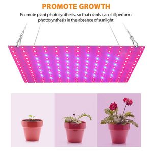 Grow Lights 1 PC Gołe pokładzie Wzrost roślin LED Światło czerwone i niebieskie spektrum sadzenia lampa wewnętrzna EU / UK / US