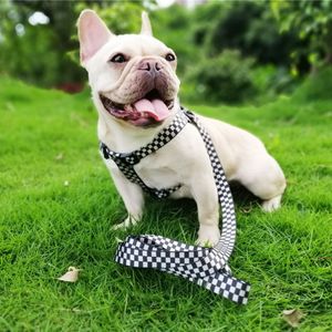 Pettorina per cani senza tiraggio, base regolabile in nylon, gilet per cuccioli, addestramento per passeggiate all'aperto Animale domestico di piccola taglia