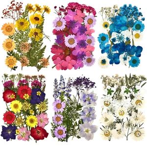 Sachet Bags Natural Pressed Dried Flowers Artificial Dry Plants Decorative For DIY Accessories Nail Craft Phone Case Pendant Necklace Jewelry Making 004