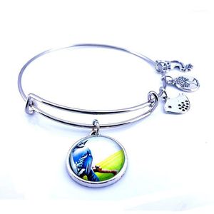 Colorful Birds Charm Bracelet Bird Cabochon Gems Jewelry Silver Color Adjustable Bangle For Women Party B18127