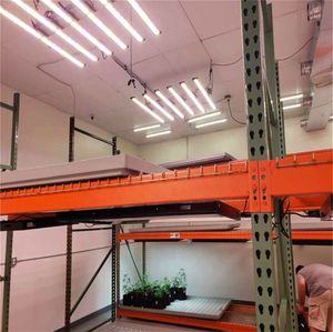 LED Grow Lights Replace HPS High PPFD Full Spectra Samsung LM2835 Strip for Indoor Plant Growth with