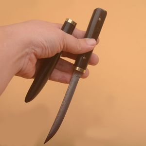 High-End-kleines gerades Messer VG10 Damaskus-Stahl Drop-Point-Klinge Ebenholz + Edelstahl-Kopfgriff Outdoor-EDC-Schlüsselanhänger-Messer