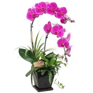 Dekoracyjne kwiaty wieńce WICCA LPC sztuczny kwiat phalaenopsis lateks liść orchidei