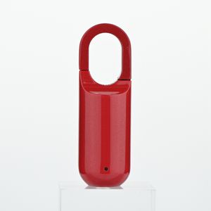 Bärbar Vattentät Mini Smart Hänglås USB Uppladdningsbar Fingeravtryckskontroll Keyless Dörrlås Säkerhet utan App No WiFi