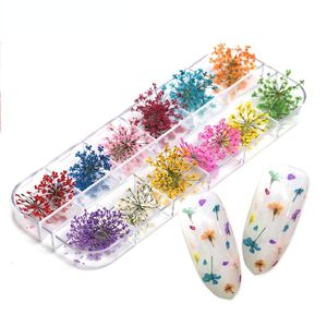 24Pcs 12 Patterns 3D Dry Flowers Stickers Real Dried Flower Nail Art Decoration Tips DIY Manicure Tools with Box