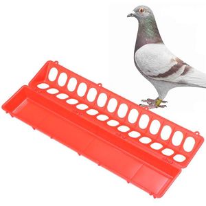 Evcil Hayvan Mağazası toptan satış-Diğer Kuş Malzemeleri Adet Kırmızı Güvercin Besleme yalak Gıda Dağıtıcı Yuvası Tavuk Kuşlar Ev Pet Mağazası Için Papağan Konteyner