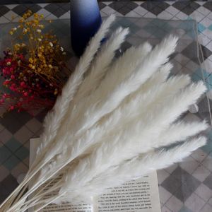 Decorative Flowers & Wreaths Flower Ears 15~30CMtotal Length 42-50CM Real Dried Natural Pampas Grass Reed Her Christmas Small Bouquet Candy
