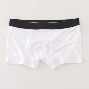 Underpants Men's Breathable Underwear Shorts Knickers Trunks Midd Waisted Boxer Briefs Modal Briefs1