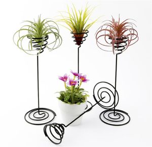 Factory Garden Decorations Air Plant Stand Holder Black Iron Spiral Flower Airplant Container Tillandsia