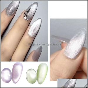 Salon Health BeautyCrystal Cat Eye Gale Gel Polish Beaining 3D эффект впитается в ультрафиолетовый ультрафиолетовый лак для маникюра Vernis Semi Porment1