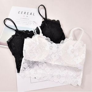 Camisoles Tanques Sexy Women's Lace Colete Crochet tanques de crochê Strapless Bralette Bra Cami Crop Top Meninas Estudantes Respirável Underwear Sling