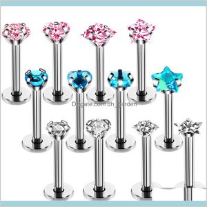 316L Surgical Steel Zircon Screw Earring Tragus Cartliage Piercings Labret Piercing Body Jewelry K54Xq Studs Wjoiy