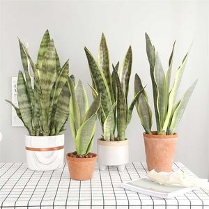 3 Pçs / lote Plantas Artificiais Ramo de Sansevieria para Decoração Bonsai Falso Plástico Tigre Piran folhas Plantas Decoração de jardim em casa 211104