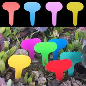 Other Garden Supplies 50pcs Plant Markers Nursery Label Fruit Vegetable Seedling Tag T-Type Waterproof Plastic