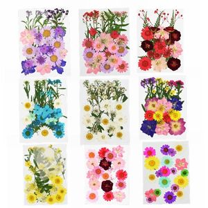 Dekorativa blommor kransar pressade mini torkad DIY Scrapbooking för hem Bröllop Jul Navidad Party Decoration Flores Secas