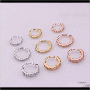 Rings Studs Body Drop Delivery 2021 Puncture Jewelry Real Gold Color Micro Inlaid Zircon Nose Ring Cartilage Earrings Psfqo