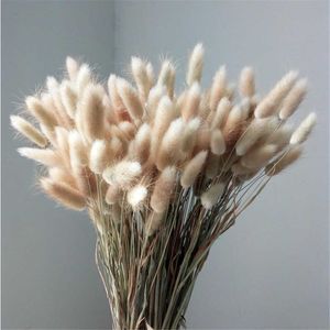 50 pçs / lote Natural Real Secado Flores Pampas Grama Lagurus Ovatus Raw Color Rabbit Relva Ramquet para Casa Decoração Do Casamento 210624