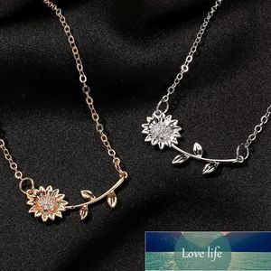 Solblomma halsband choker smycken kreativt solros halsband för kvinnor charms clavicle halsband pendlar smycken present fabrik pris expert design kvalitet kvalitet