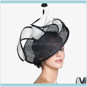 Aessories Hulpmiddelen Productendames Fascinators Mode Hoed Feest Bruiloft Sinamay Wide Brim Fedora Kentucky Derby Hoofddeksel Kerk Haar Aesso