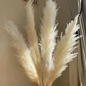 Dekorativa Blommor Kransar 140cm 10st / Set Naturliga Pampas Grass Stor Real Torkad Bukett Heminredning Bröllop Tillbehör Juldekorationer