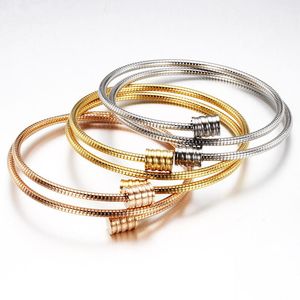 Trendig Rostfritt Stål Snake Bone Elasticitet Öppna Manschemmar Bangles Armband För Kvinnor Charm Smycken Present Bangle