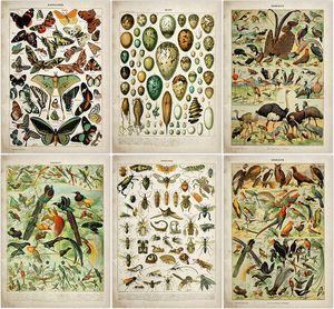 Naklejki ścienne Przygotowania Vintage plakaty Pszczoły owady Plumes Pióra Pióra Jajka Sztuka Plakaty Drukuje Malarstwo Adolphe Millot Kraft Paper Paper
