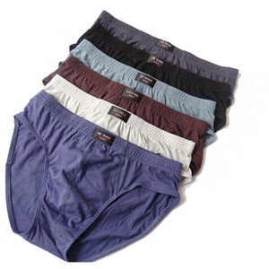 KORTA MENS MÄRKESOLID Briefs 4PCS / Lot Mens Kort Bomull Mens Bikini Underkläder Pant för män Sexiga Underkläder Män Lot 6XL 210707