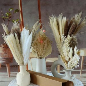 Ghirlande di fiori decorativi 1 mazzo Pampa vera erba di pampa essiccata Fleurs Sechees Reed Phragmites Bouquet di piante per la festa di nozze Home Deco