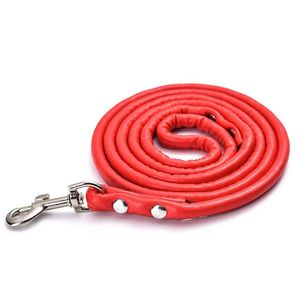 Hundhalsar Leasches 1 st PU Leash Dogs Lead Pet Mountaineering Rope Outdoor Walking Training For Belt Safety Valp Accessories