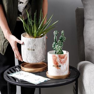 Planters & Pots Home Garden Nordic Minimalist Ink Pattern Ceramic Flowerpot Literary Green Radish Plant With Golden Tray