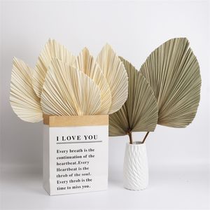 Natural Roślin Palm Leaves Home Room Decor Diy Suszone Kwiat Dla Party Art Wall Wiszące Wedding Decoration Decoration Armatura 211108