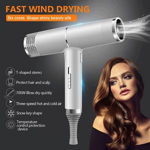 Powerful Blowing Anion Hair Dryer Professional Negative Ion Hair Blower Overheating Protect Low Noise Hair Drying Styling Tool