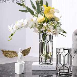 Wazony nordycki srebrny wazon lekki luksusowy metal przezroczyste szklane ozdoby do salonu układ hydroponiczny układ kwiatowy