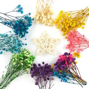 Diy Real Dried Flower Gypsophila Epoxy Resin Epoxy Mold Filling Jewelry Making Tool Accessories Bouquet Color Absorption Y0630