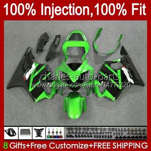 OEM Vücut Honda CBR600F4i F4 I için CBR600FS 01-03 Karoser A6NO.171 CBR 600F4I 600 F4I FS CC 2001 2002 2003 CBR600 F4I 600CC 01 02 03 Enjeksiyon Kalıp Perşembe Metal Yeşil