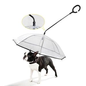 ingrosso Asciugatura Del Cane-L ombrellone trasparente dell abbigliamento del cane è a secco comodo nella pioggia nevicata nevicata Attrezzi comodi con lead