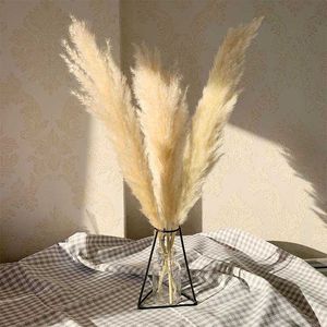 55 cm Pampas Grass Decor Duży Naturalne Suszone Kwiaty Bukiet Ślub Kwiaty Vintage Styl Dla Domu Walentynki Prezent 210624