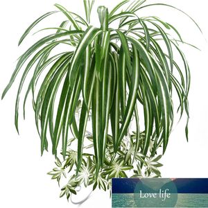 Artificiale Chlorophytum Fiore di seta Orchidee Pianta Montaggio a parete Simulazione Rattan Home Party Decorazione del giardino Prezzo di fabbrica design esperto Qualità Ultimo stile