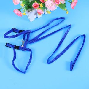 Cat Collars & Leads Pet Harness Traction Rope Nylon Collar Leash Kitten Supplies Accessories (Blue)