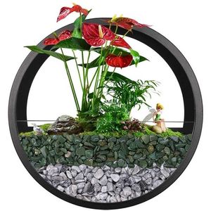 Modern Round Iron Wall Vase Home Living Room Restaurant Hanging Flower Pot Decor Succulent Plant Planters Art Vases 211130