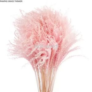Pampas Grass Thinker Colorful Natural Light Pink Wedding Pampas Flowers Valentines Day Gift Natural Dried Reed Flower Bouquets White Gifts DD