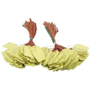 Other Garden Supplies 200Pcs Plant Hanging Tag Waterproof Plastic Labels Reusable Markers Blank Nursery Seed Name Tags With Strings