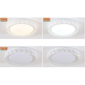 Ceiling Lights LED Light Bird Nest Round Lamp Modern Fixtures For Living Room Bedroom Kitchen EJ