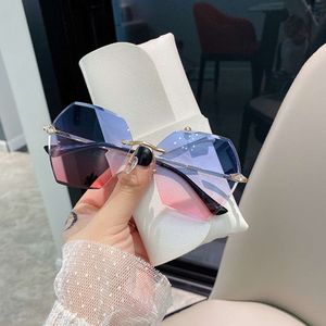 Moda Na moda Wholale Sol Sunglass Mulheres Newt Shad Sunglass com doces cor lente de vidro óculos 2021