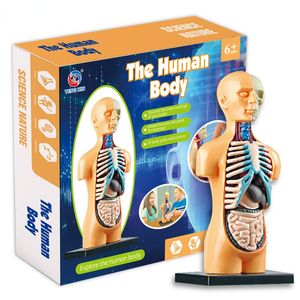 Toys Organization al por mayor-Niños ciencia vástago juego ensamblado cuerpo humano niños juguete educativo esqueleto anatomía órganos huesos kit toy toys