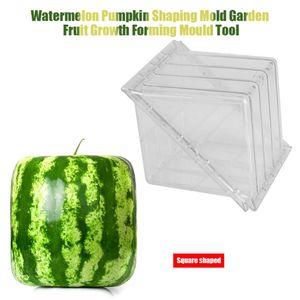 Kvadrat / Hjärtformad Vattenmelon Pumpkin Formande Mögel Garden Frukt Tillväxt Forming Mögel Verktyg Planterare Potter