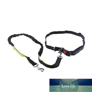 Hundkrafter Leashing Hundar Leash Running Elasticitet Hand Free Pet Produkter Harness Collar Jogging Lead och Justerbar Midja Rope1 Fabrikspris Expert Design