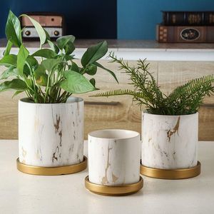Wholesale vase cylinders for sale - Group buy Vases Creative Standard Marble Ceramic Cylindrical Gold Flowerpot Succulents Personalized Vase With Home Decoration Tray
