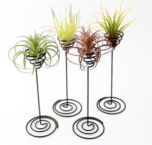 Decorações de jardim Suporte para planta de ar Recipiente para planta de ar em espiral de ferro preto Tillandsia XB1